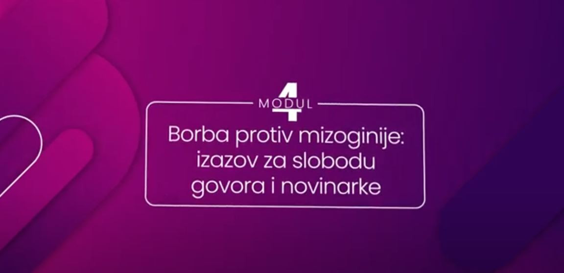 HUB za zaštitu slobode izražavanja - Modul 4: Borba protiv mizoginije