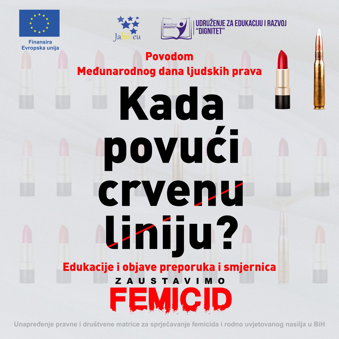 Povodom Međunarodnog dana ljudskih prava održana online edukacija i predstavljen sažetak Preporuka i Smjernica za  unapređenje pravne i društvene matrice radi prevencije femicida i rodno zasn